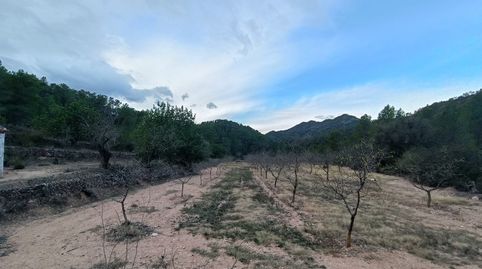 Finca Rústica con caseta en Miravet, immagine 4