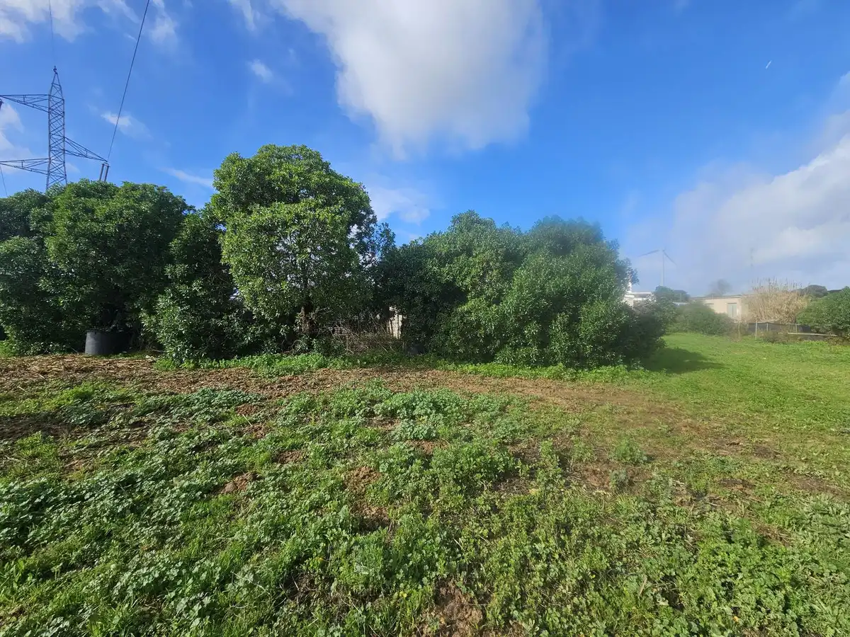 Bungalow con jardín en venta en Casares pueblo, imagen 10