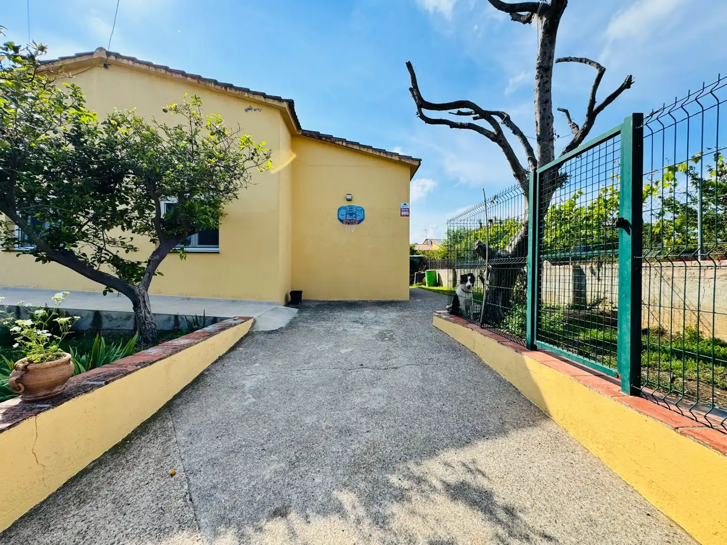 Vista exterior de Casa o xalet en venda en Bàscara amb Aire condicionat, Jardí privat i Terrassa