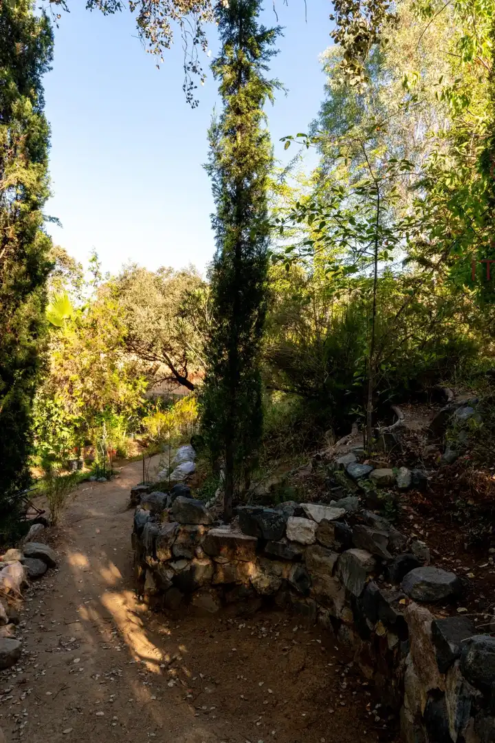 Garden of Houses for sale in El Castillo de las Guardas  with Private garden, Terrace and Community pool