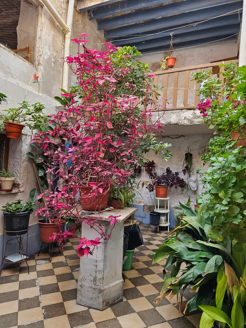 Jardín de Casa adosada en venta en Monóvar  / Monòver con Aire acondicionado, Calefacción y Jardín privado