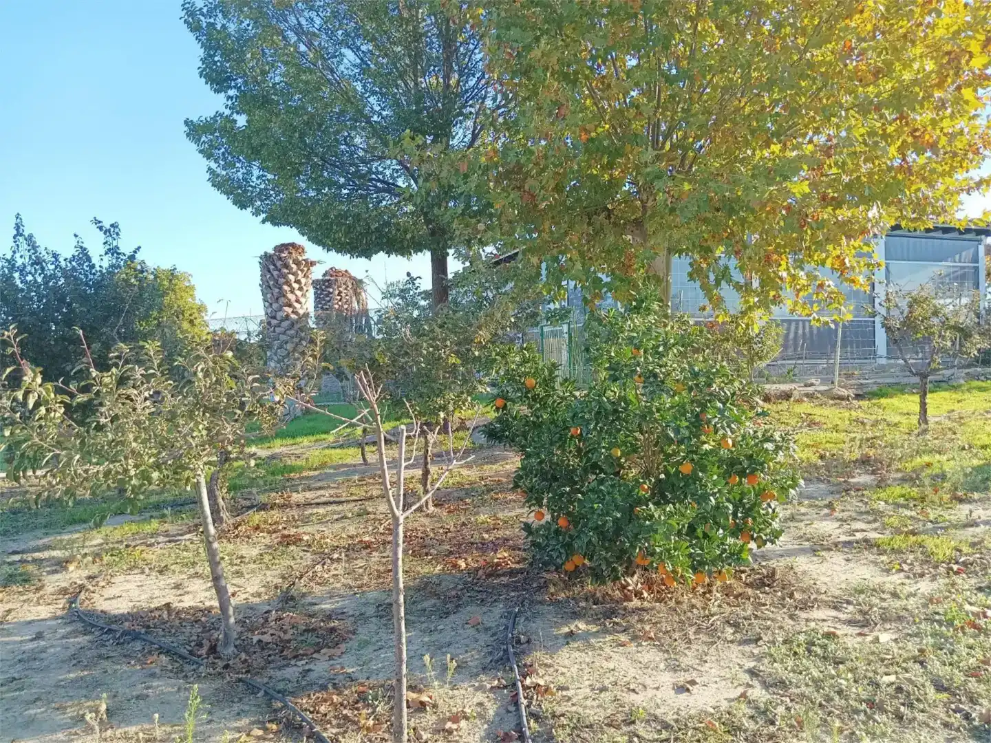 Finca rústica en venta en Hormigos con Aire acondicionado, Jardín privado y Parquet