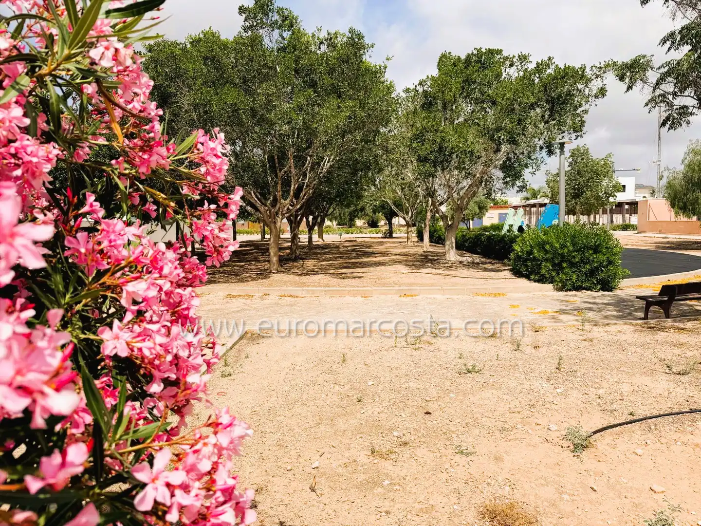 Bungalow con piscina en venta en Avenida Riegos de Levante, imagen 34