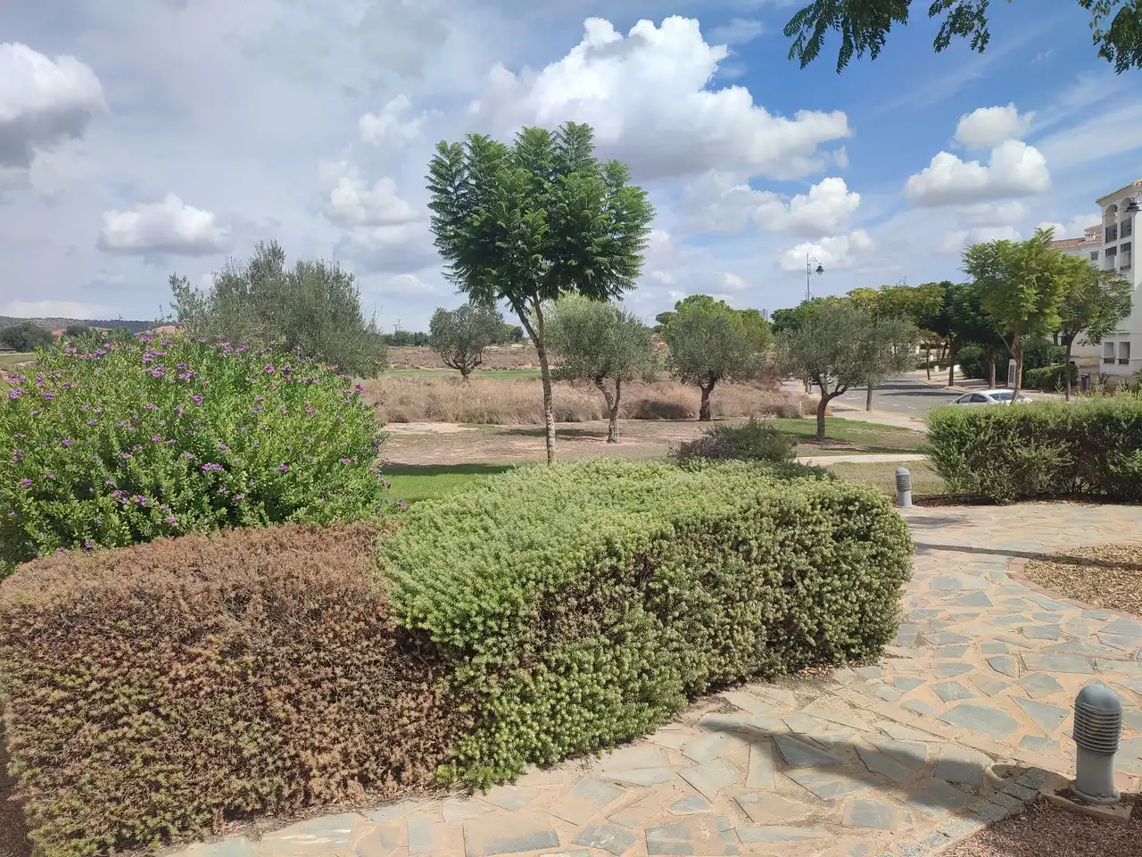 Apartment mit Aufzug zum Verkauf in Campo de Murcia, imagen 34