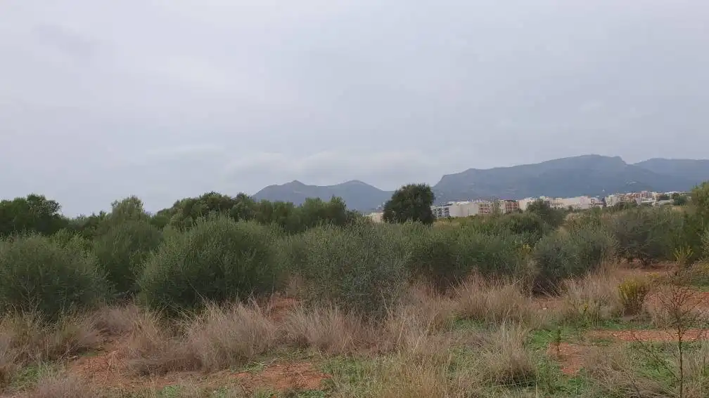 Terreny residencial en venda a Partida Fosaret, imagen 27