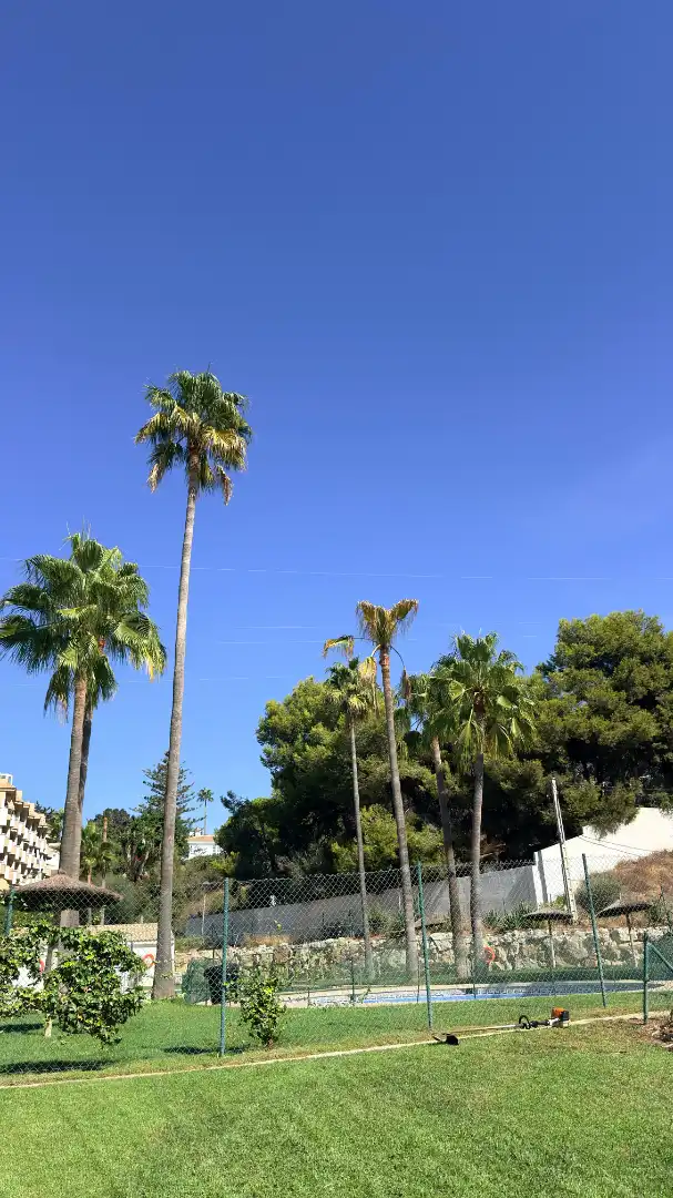 Vista exterior de Pis en venda en Fuengirola amb Aire condicionat, Calefacció i Terrassa