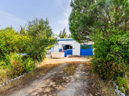 Vista exterior de Casa o xalet en venda en Chiclana de la Frontera amb Terrassa