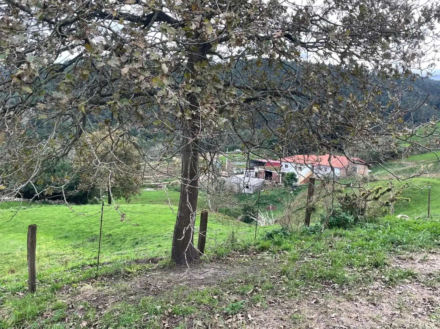 Terreni e lotti in vendita a Novales - Polígono 20 Parcela 144 EL CASTRO, imagen 6