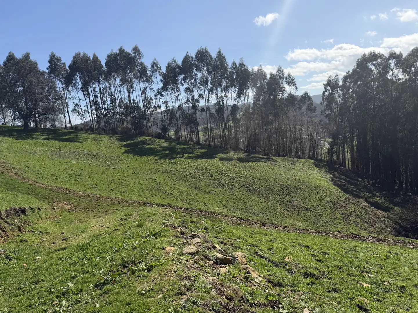 Casa o xalet en venda en Hazas de Cesto