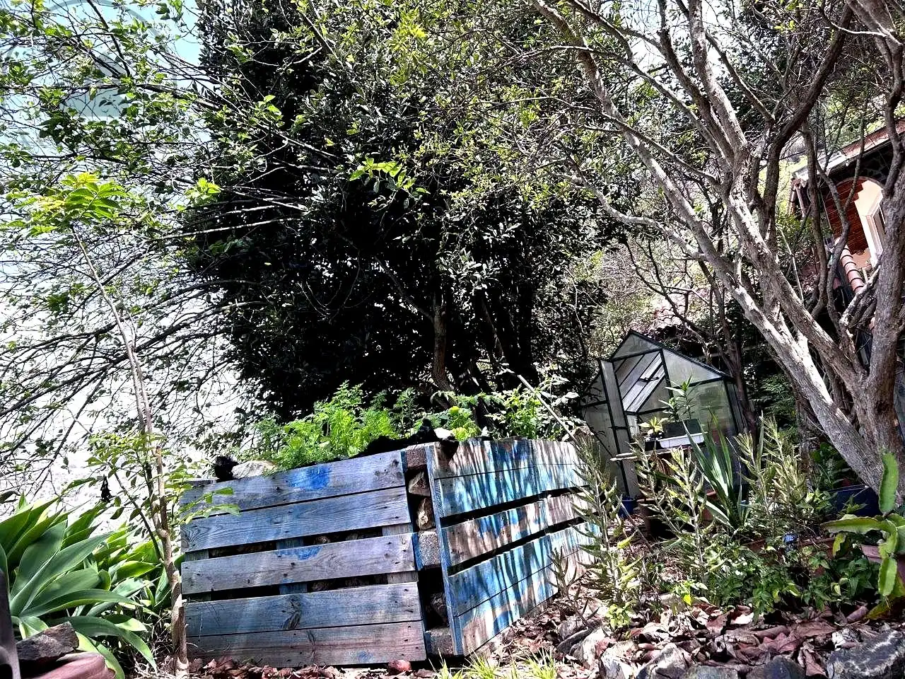 Jardín de Finca rústica en venta en Vallehermoso con Aire acondicionado, Calefacción y Jardín privado