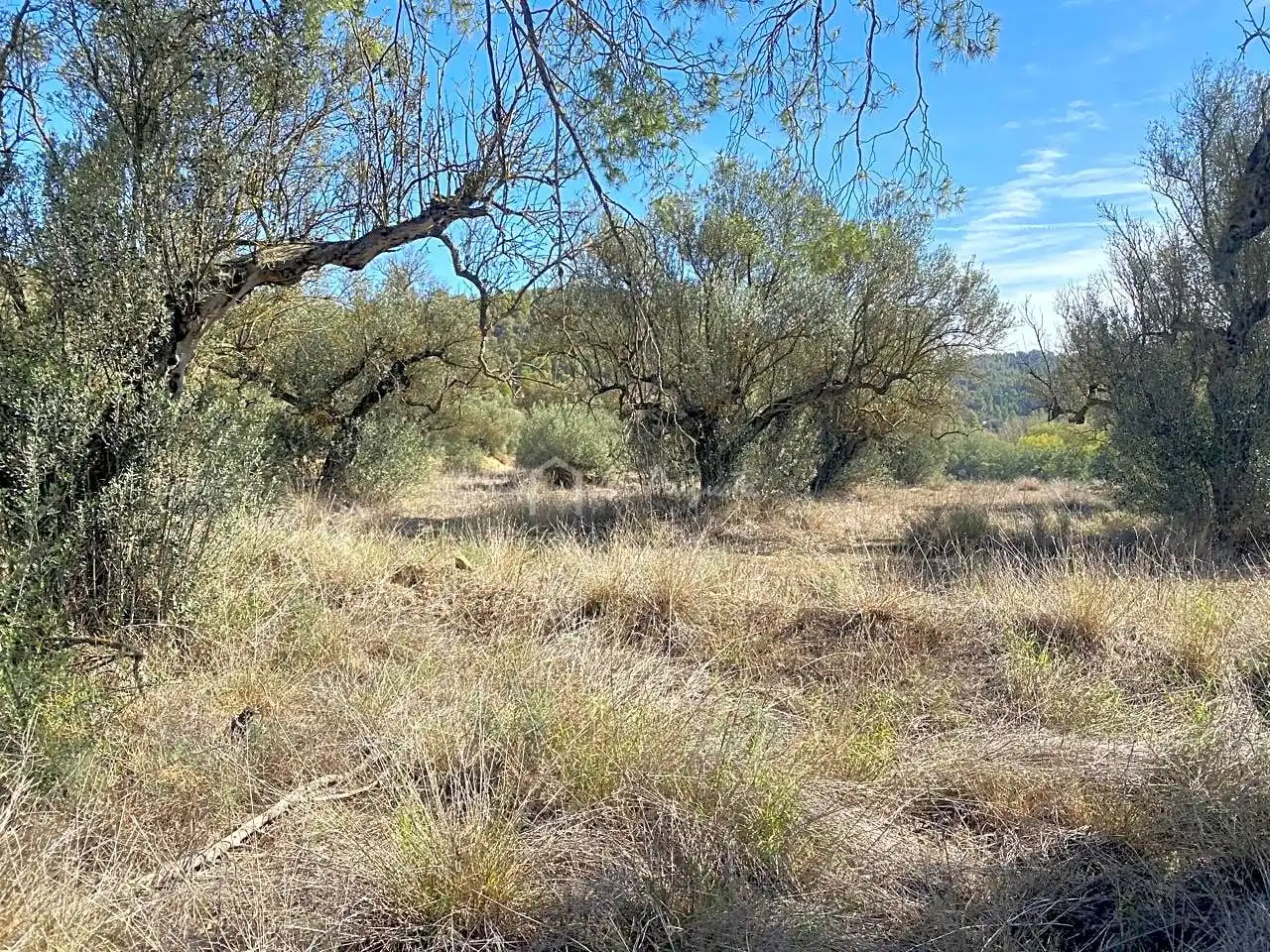 Terrain rustique à vendre à Aixalella, imagen 31