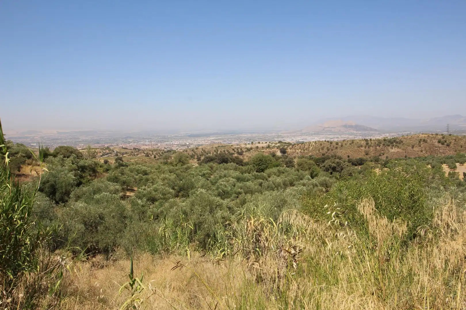 Wohnbaugrundstück zum Verkauf in Albaicín, imagen 22