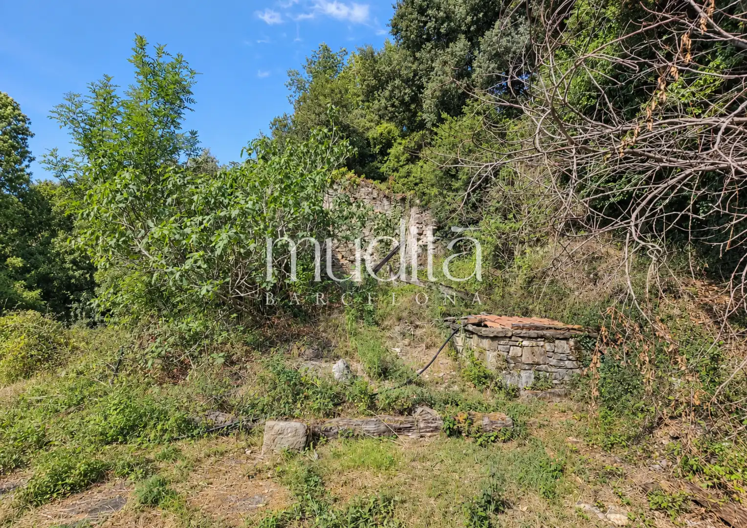 Casa rústica en venda a Tavertet, imagen 50
