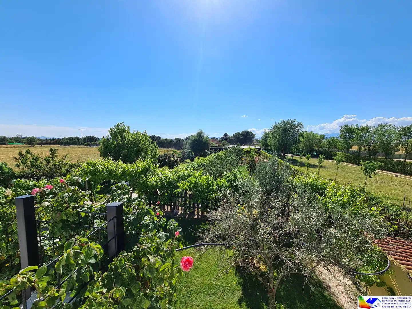 Jardín de Casa o chalet en venta en Fuente El Saz de Jarama con Aire acondicionado, Calefacción y Jardín privado