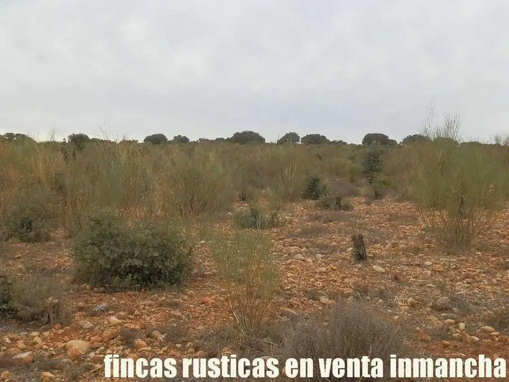 Terreny rústic en venda a Calle Albacete 10, imagen 14
