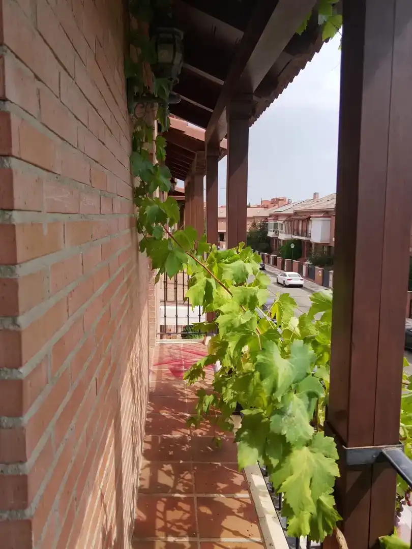 Terrassa de Casa o xalet en venda en Las Lomas - Salinera - La Muñeca