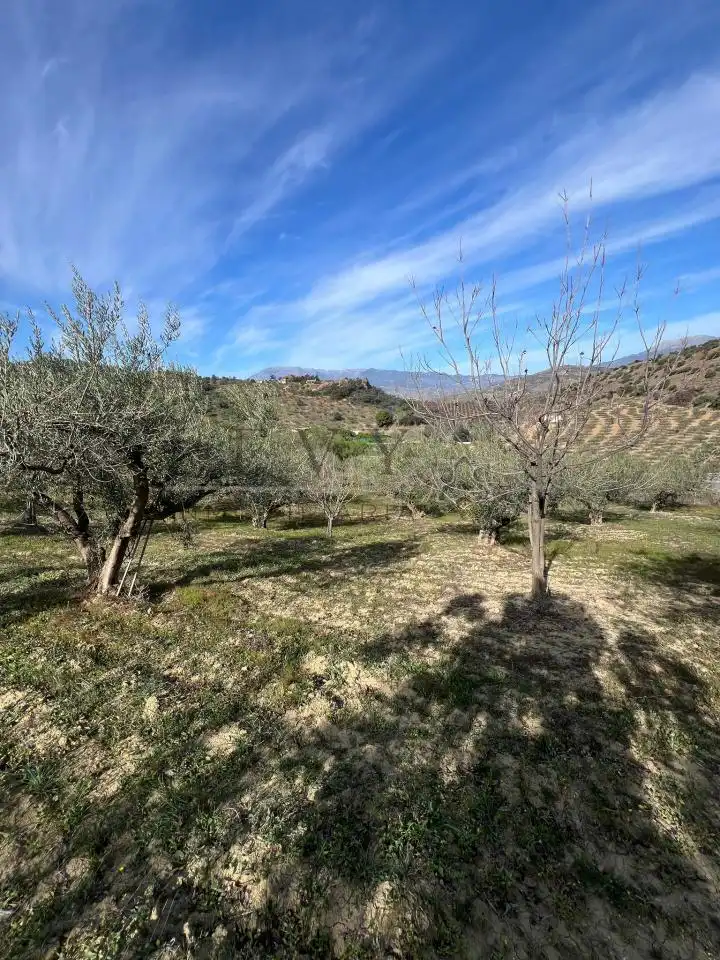 Terreno rustico in vendita a Guaro, imagen 4
