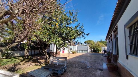 Photo 5 of Houses for sale in Hijuela de Villa Horacia, La Jara, Sanlúcar de Barrameda