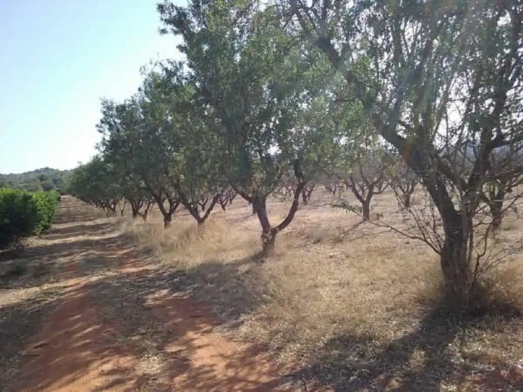 Terrain rustique à vendre à Pt Horquera, imagen 9