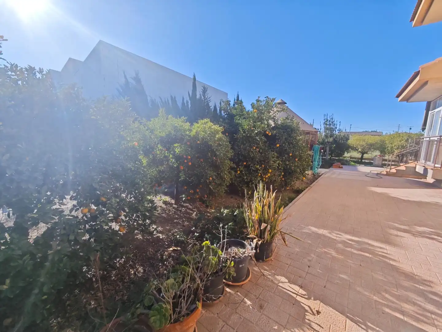 Exterior view of Houses for sale in Murcia  with Terrace