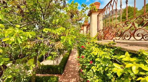 Foto 3 de Finca rústica en venda a Alcoleja, Alicante