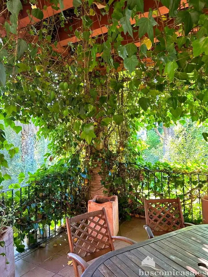 Jardí de Casa adosada en venda en Linares amb Aire condicionat, Jardí privat i Terrassa