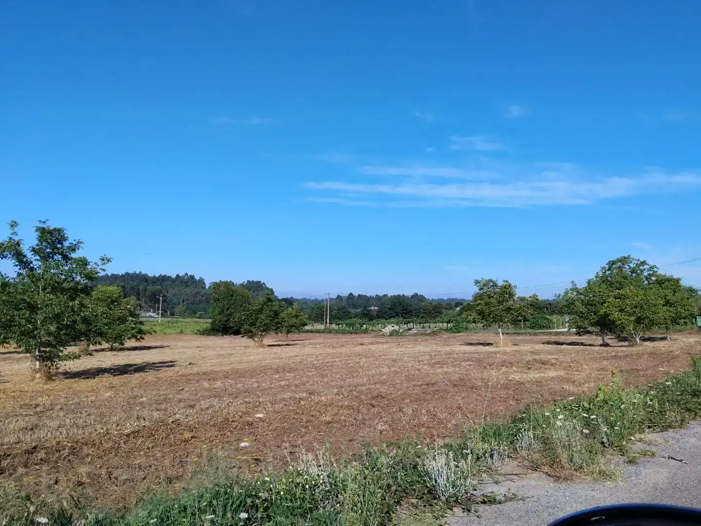 Finca rústica en venda en Vedra