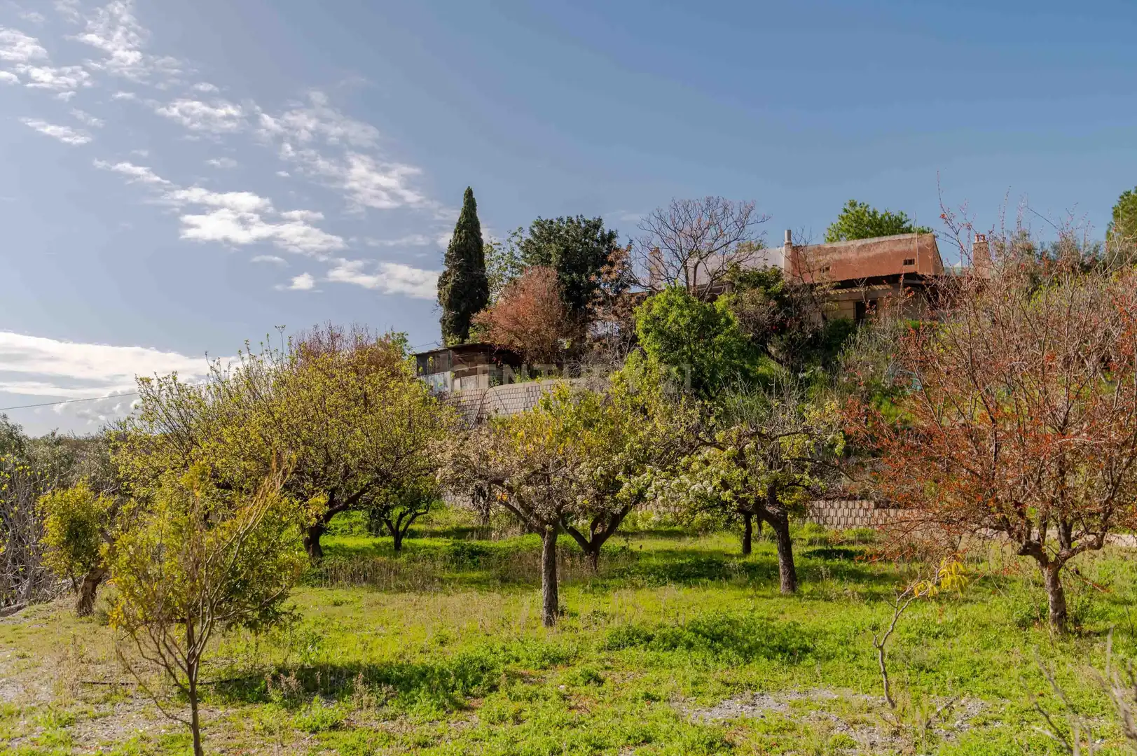 Maison à vendre à 18670 Vélez de Benaudalla, Spain, imagen 49