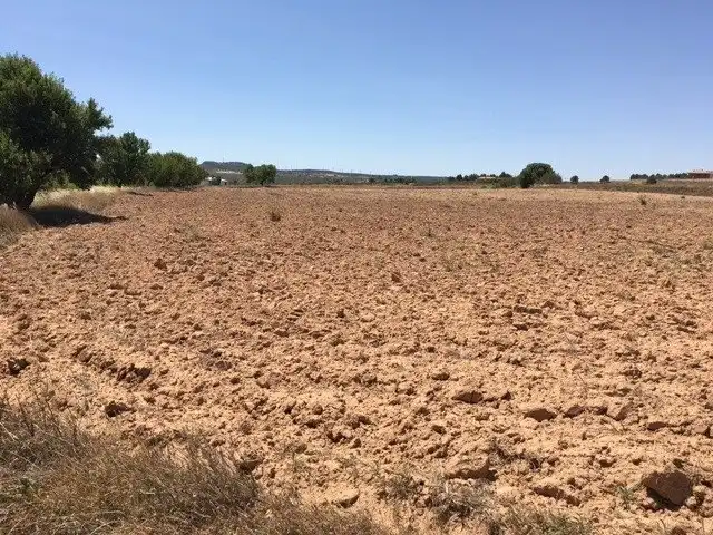 Terreno rustico in vendita a Almansa