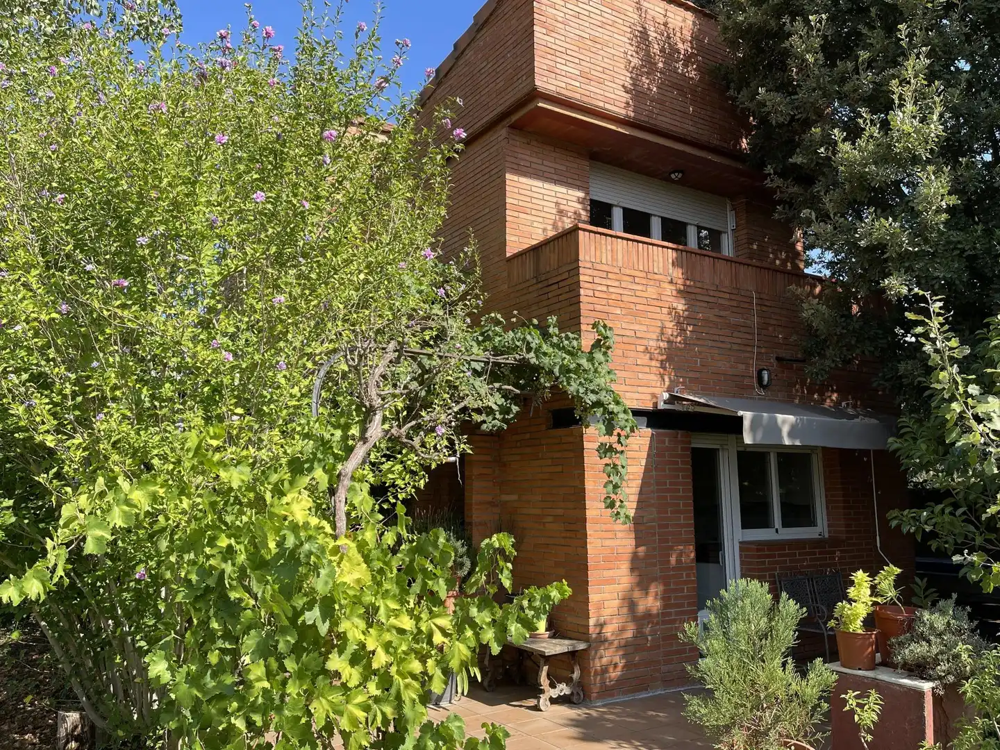 Casa con giardino in vendita a Calle Mimosa, imagen 9