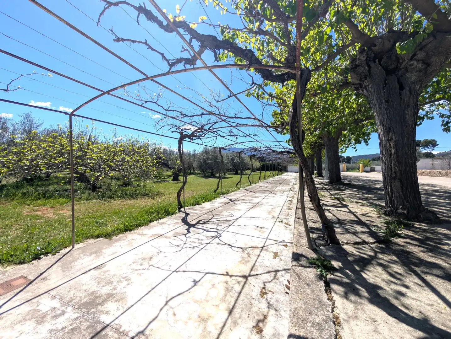 Exterior view of Houses for rent in Gaianes