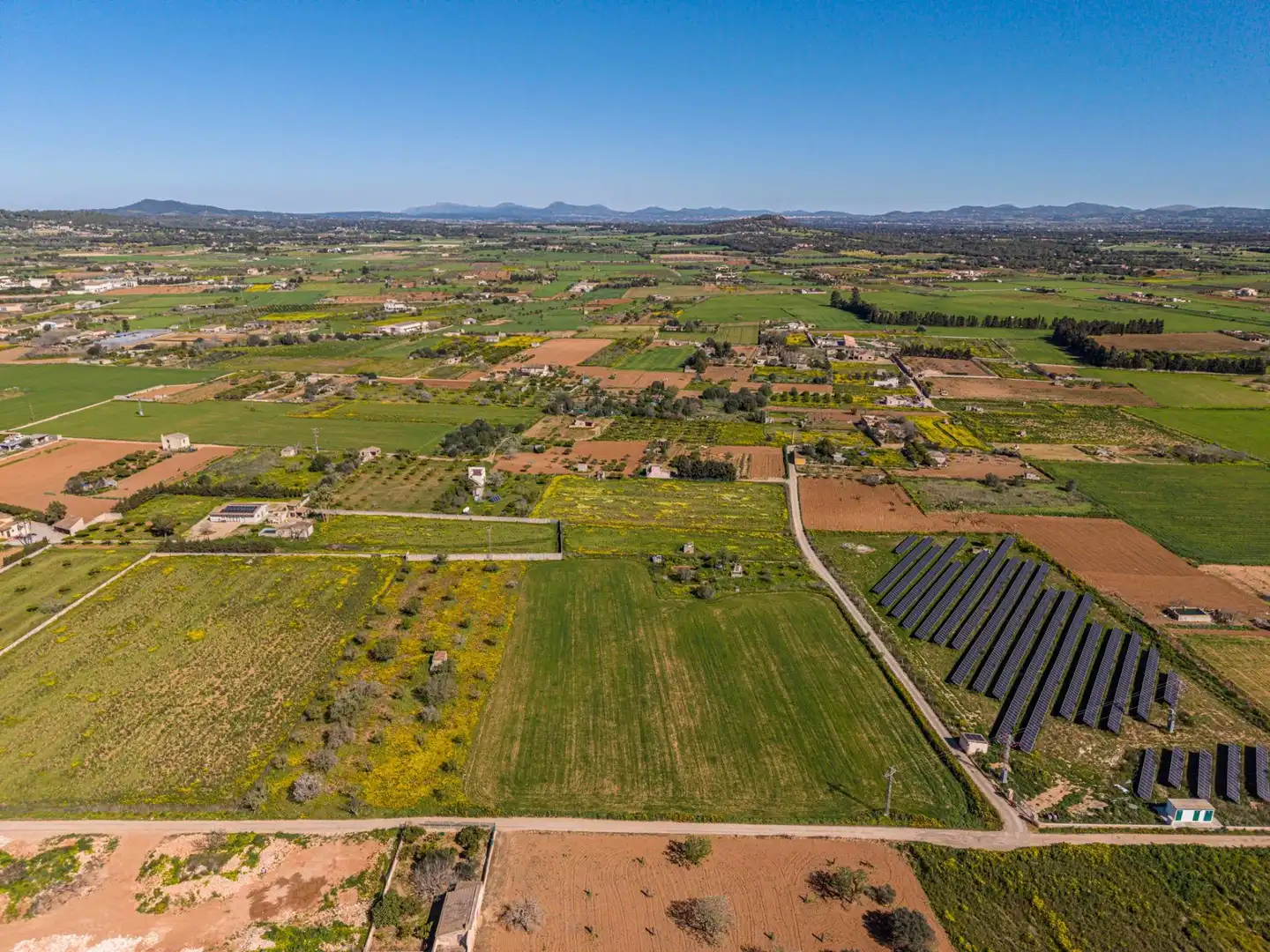 Terreno rústico en venta en Porreres, imagen 17