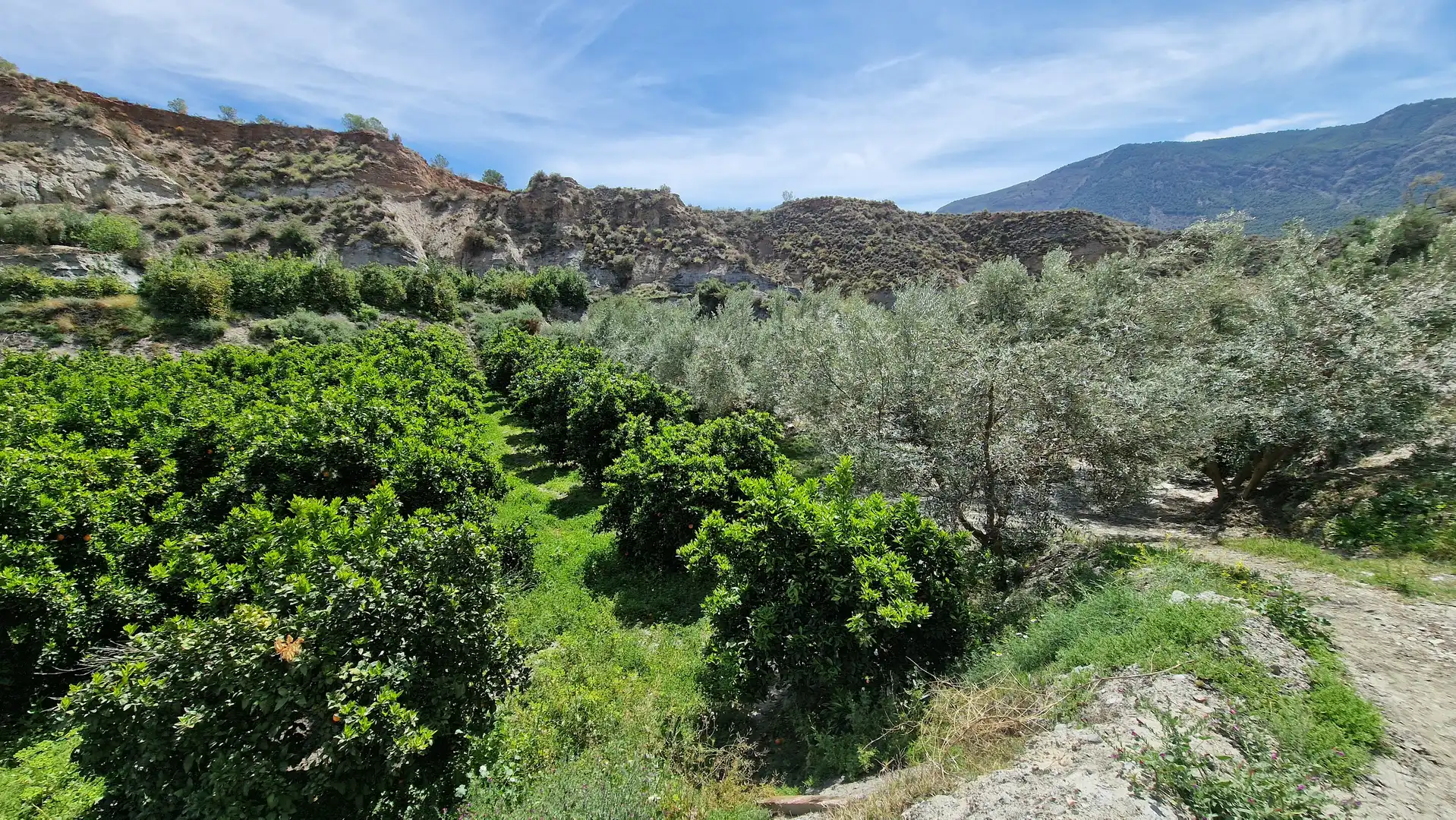 Jardí de Finca rústica en venda en Canjáyar amb Jardí privat i Moblat