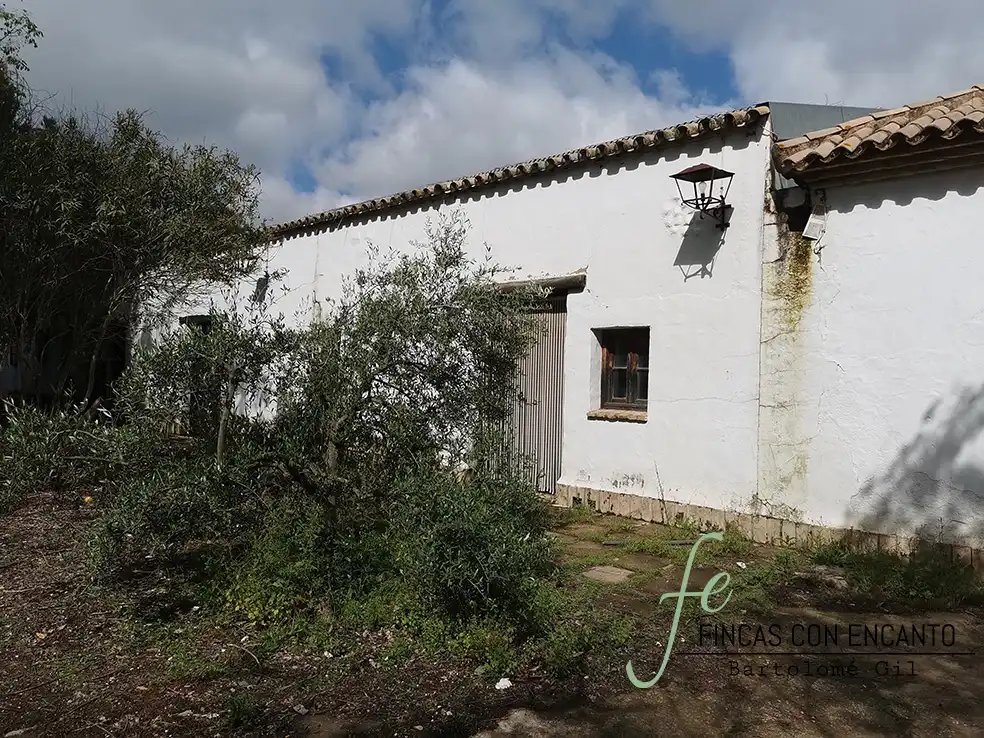 Vista exterior de Finca rústica en venda en Marchena amb Aire condicionat, Terrassa i Piscina
