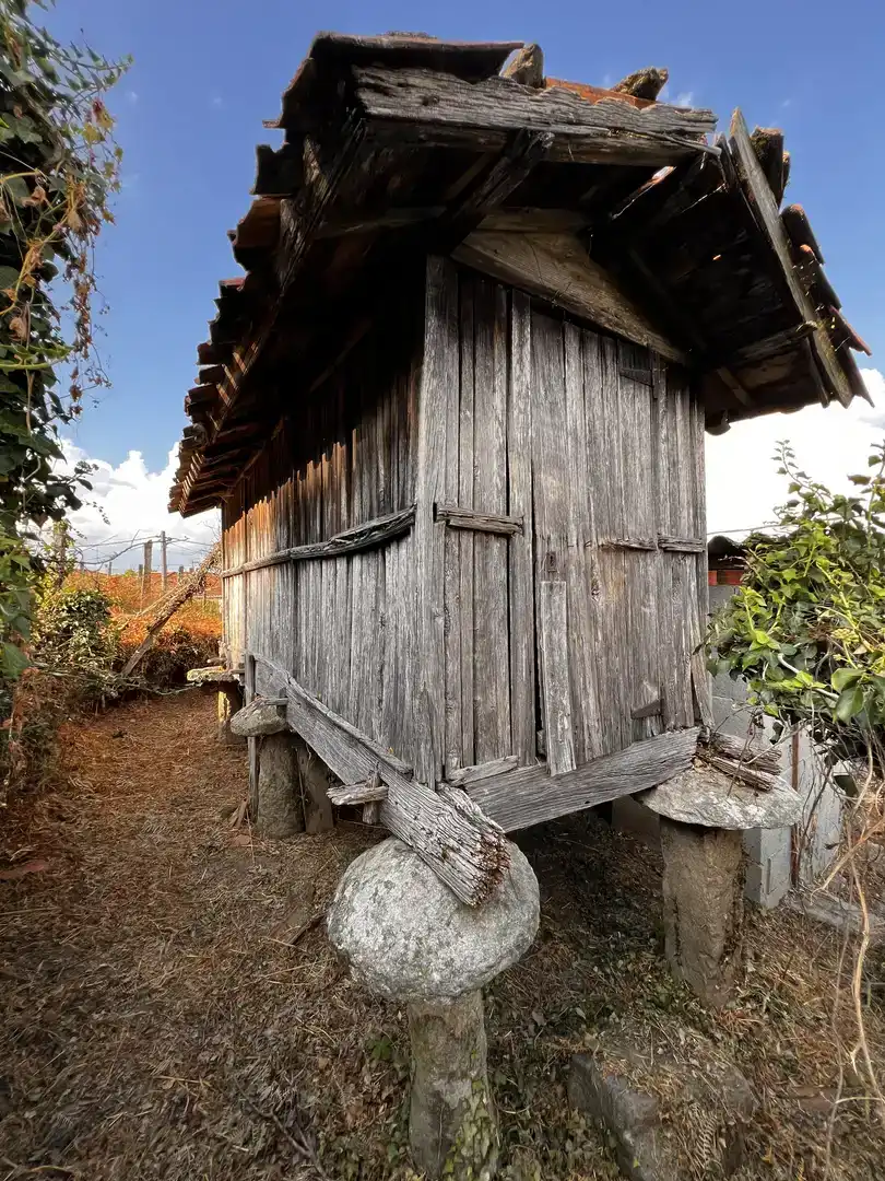 Vista exterior de Finca rústica en venda en Ramirás amb Jardí privat, Parquet i Traster