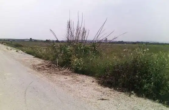Residential land for sale in El Carpio, imagen 4