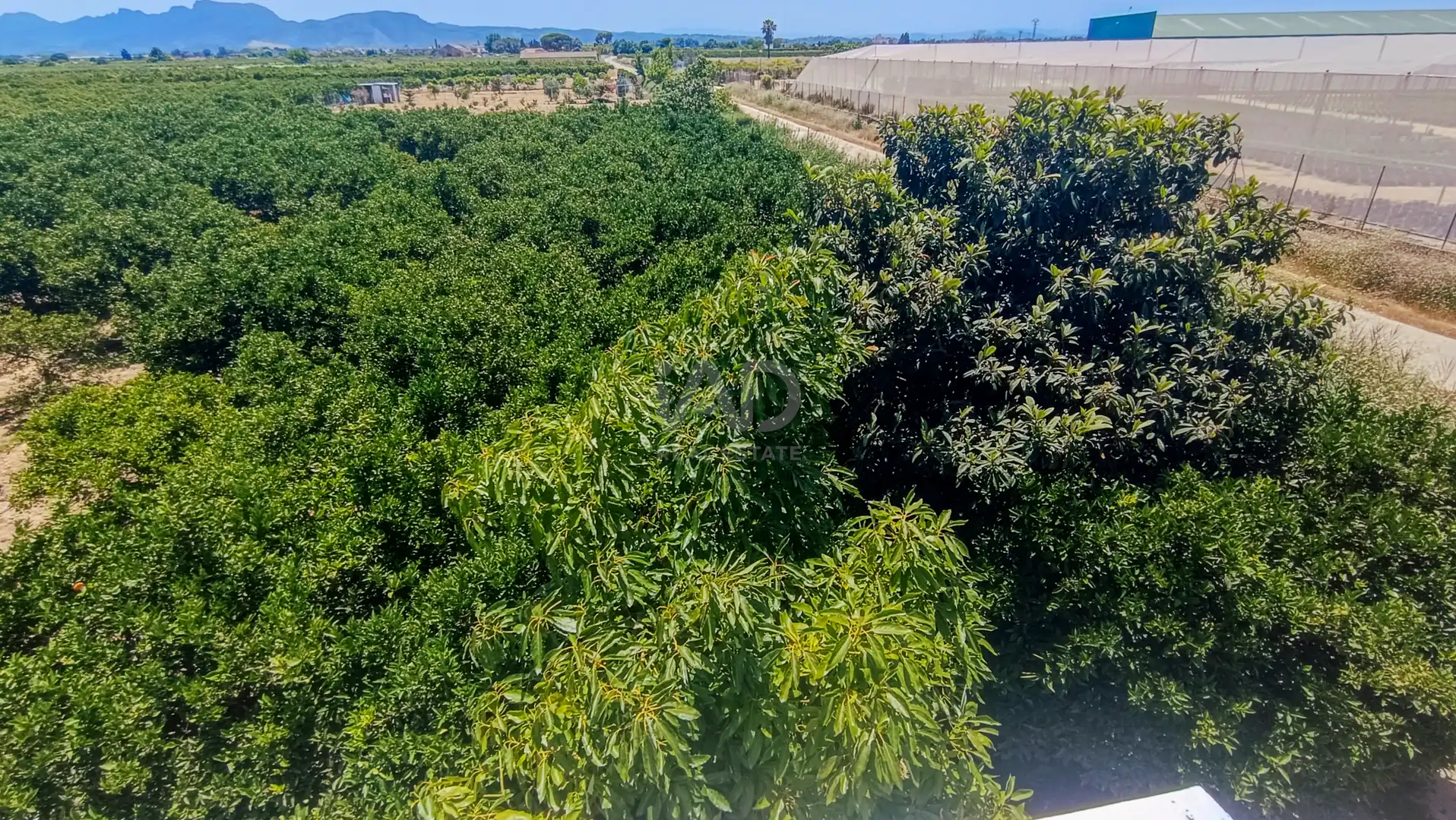 Casa o chalet en venta en Albalat de la Ribera con Calefacción y Terraza
