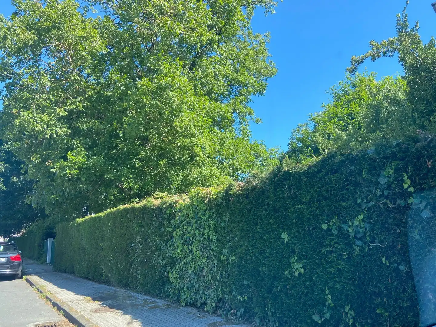 Maison rustique avec jardin à vendre à Lalín, imagen 40