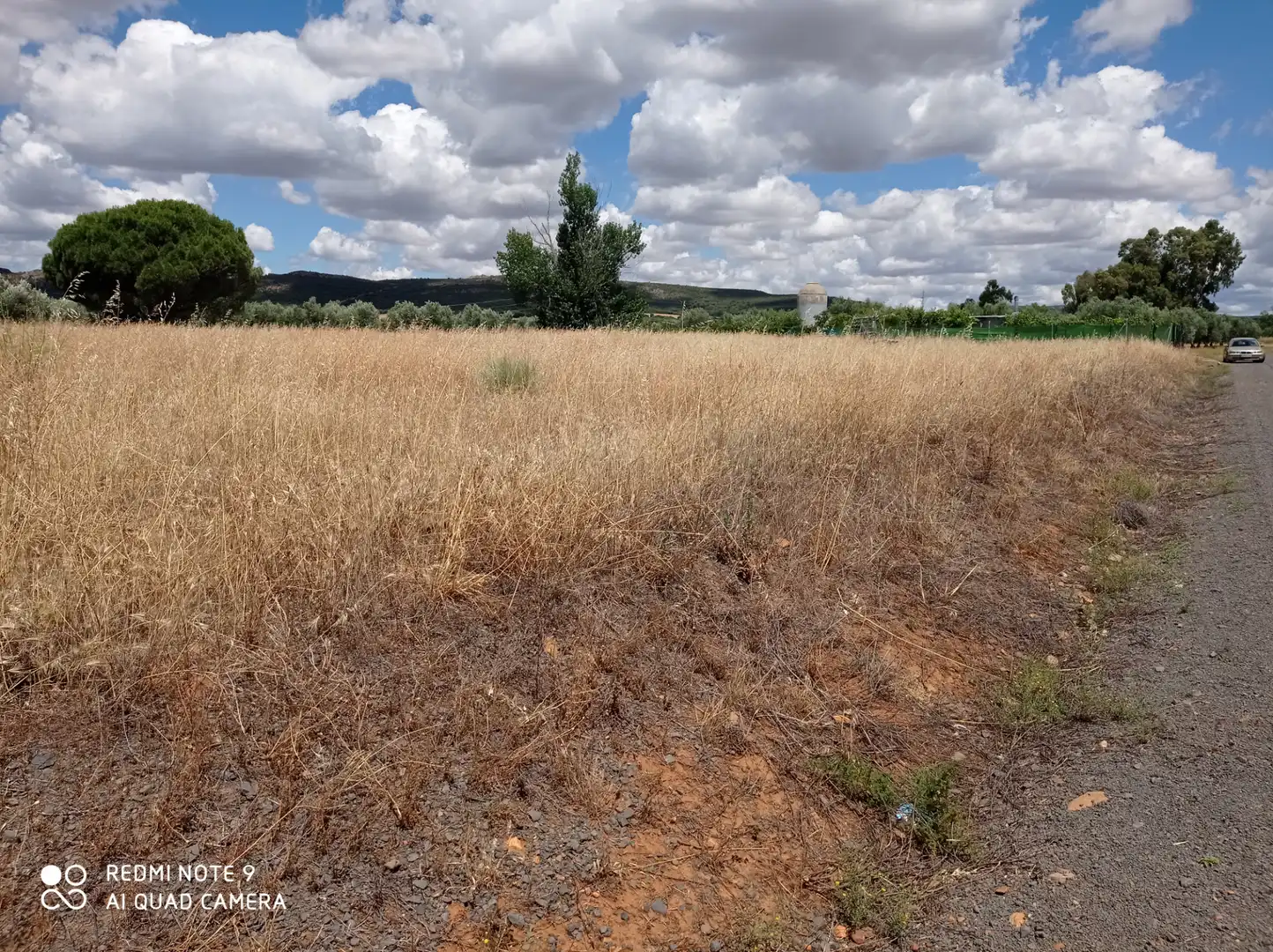 Terreno rustico in vendita a Picón, imagen 3