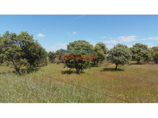 Casa-chalet en Venta en Peraleda de la Mata