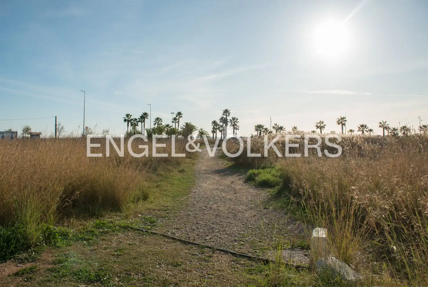 Haus mit Garten zum Verkauf in Playa, imagen 35