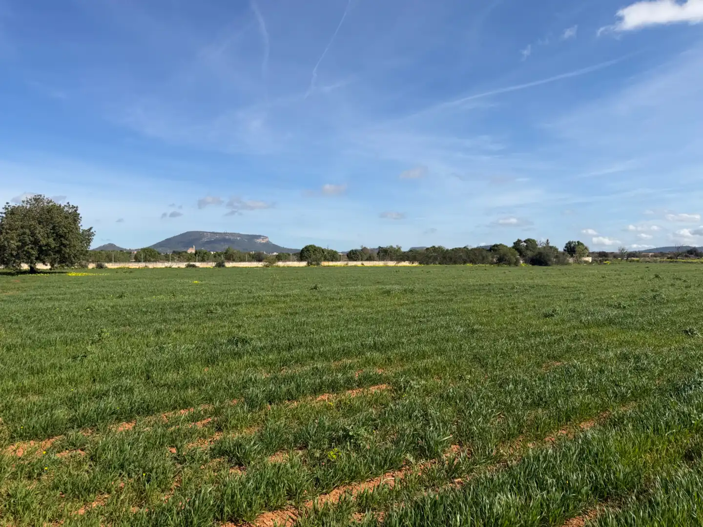 Country homes for sale in Llucmajor  with Air Conditioner, Heating and Private garden