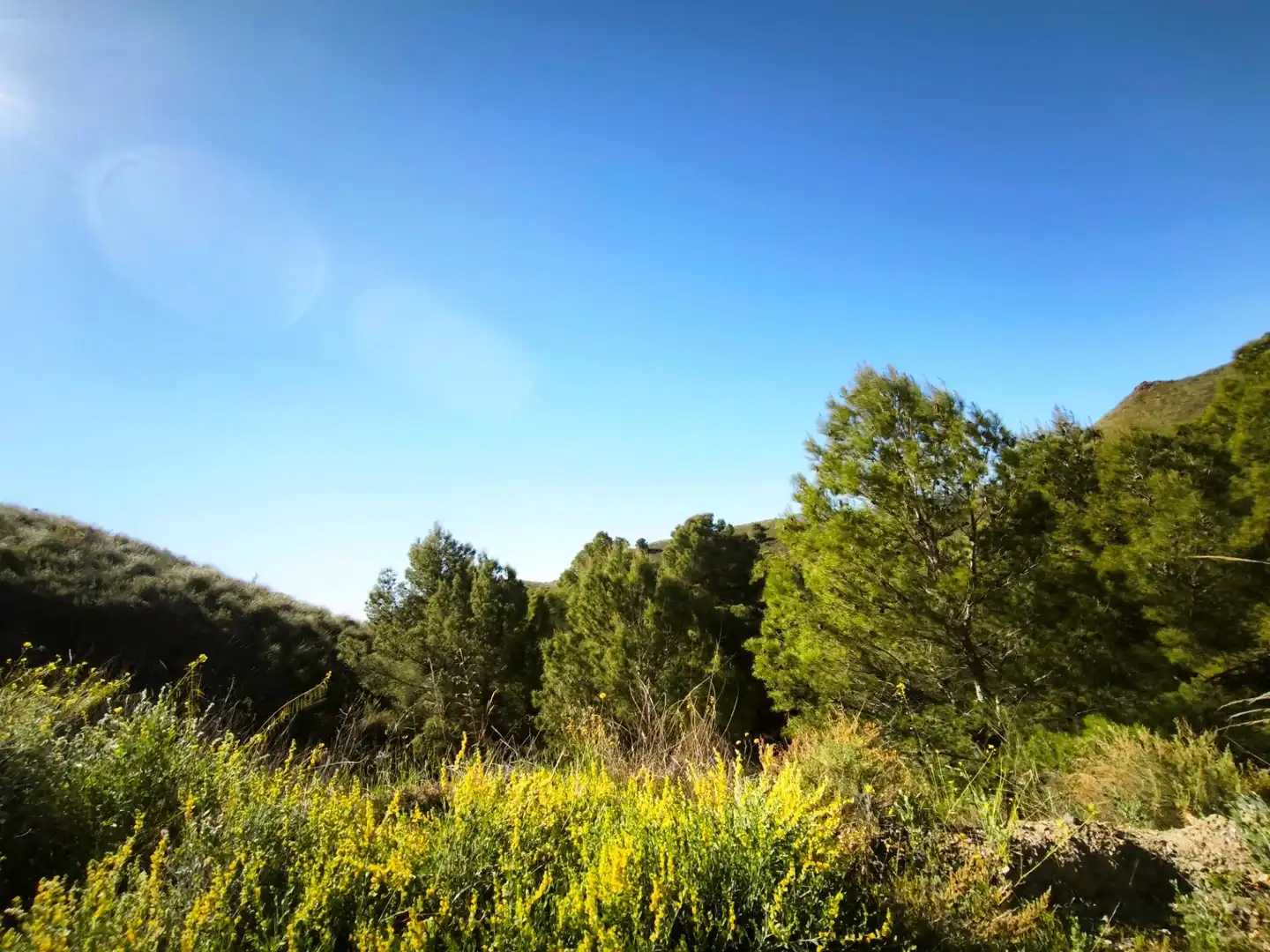 Terrains et parcelles à vendre à MORATA, imagen 3