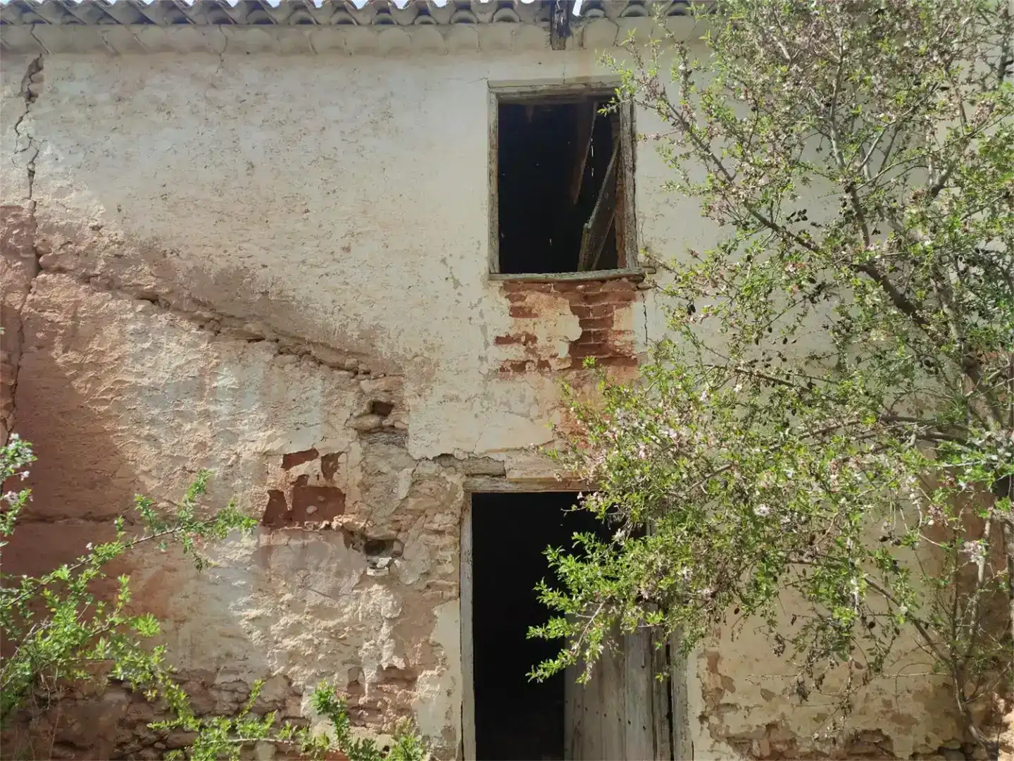 Vista exterior de Casa o xalet en venda en Tarazona de la Mancha, Albacete