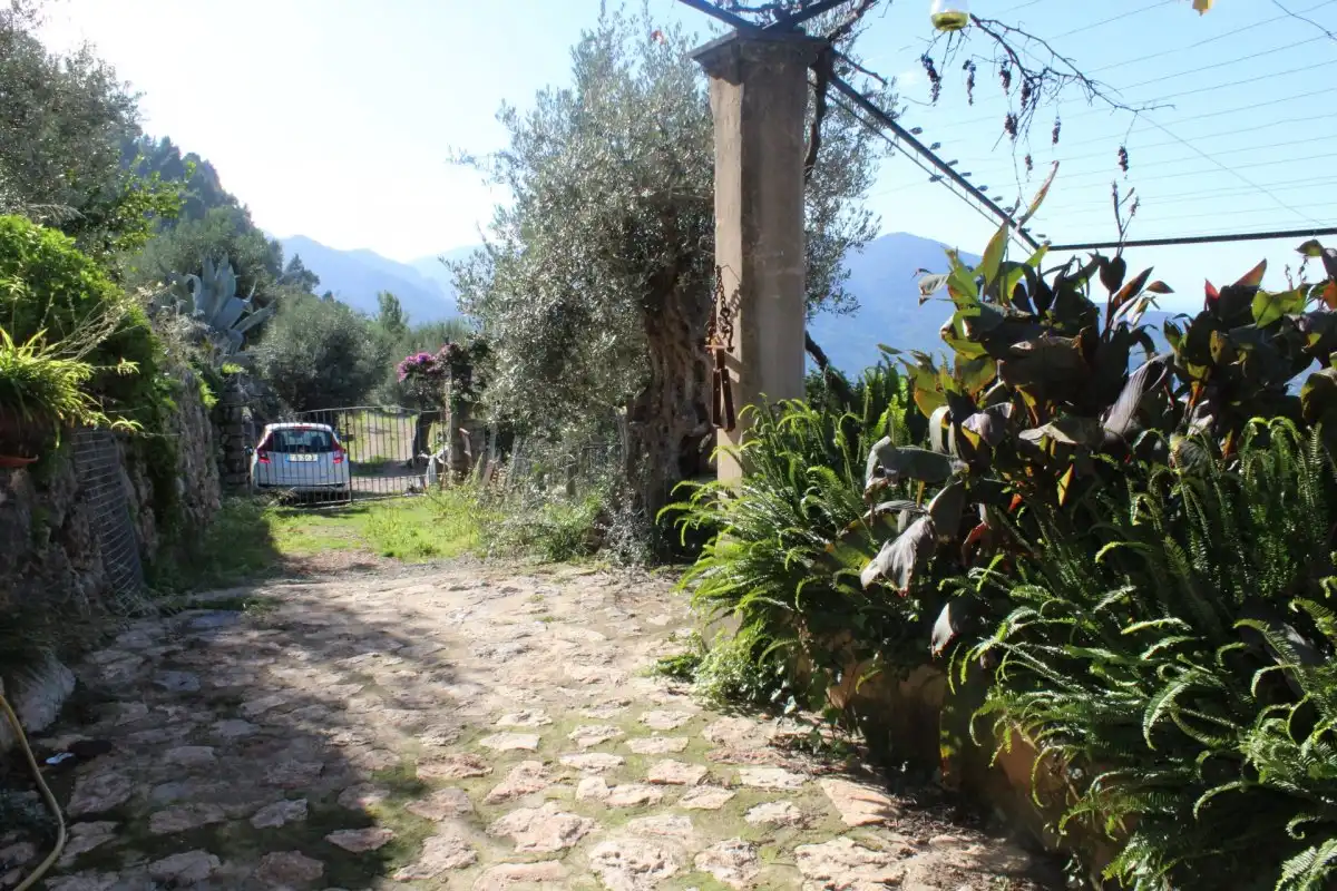 Jardí de Finca rústica en venda en Fornalutx amb Jardí privat, Terrassa i Traster