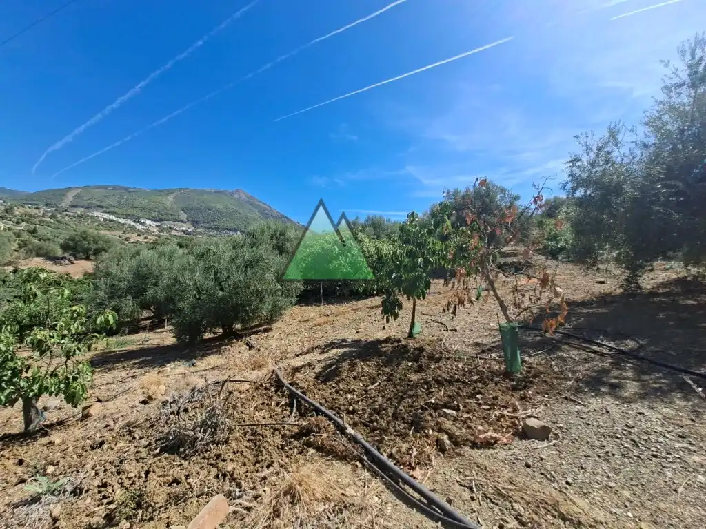 Country house for sale in Alcaucín, imagen 21