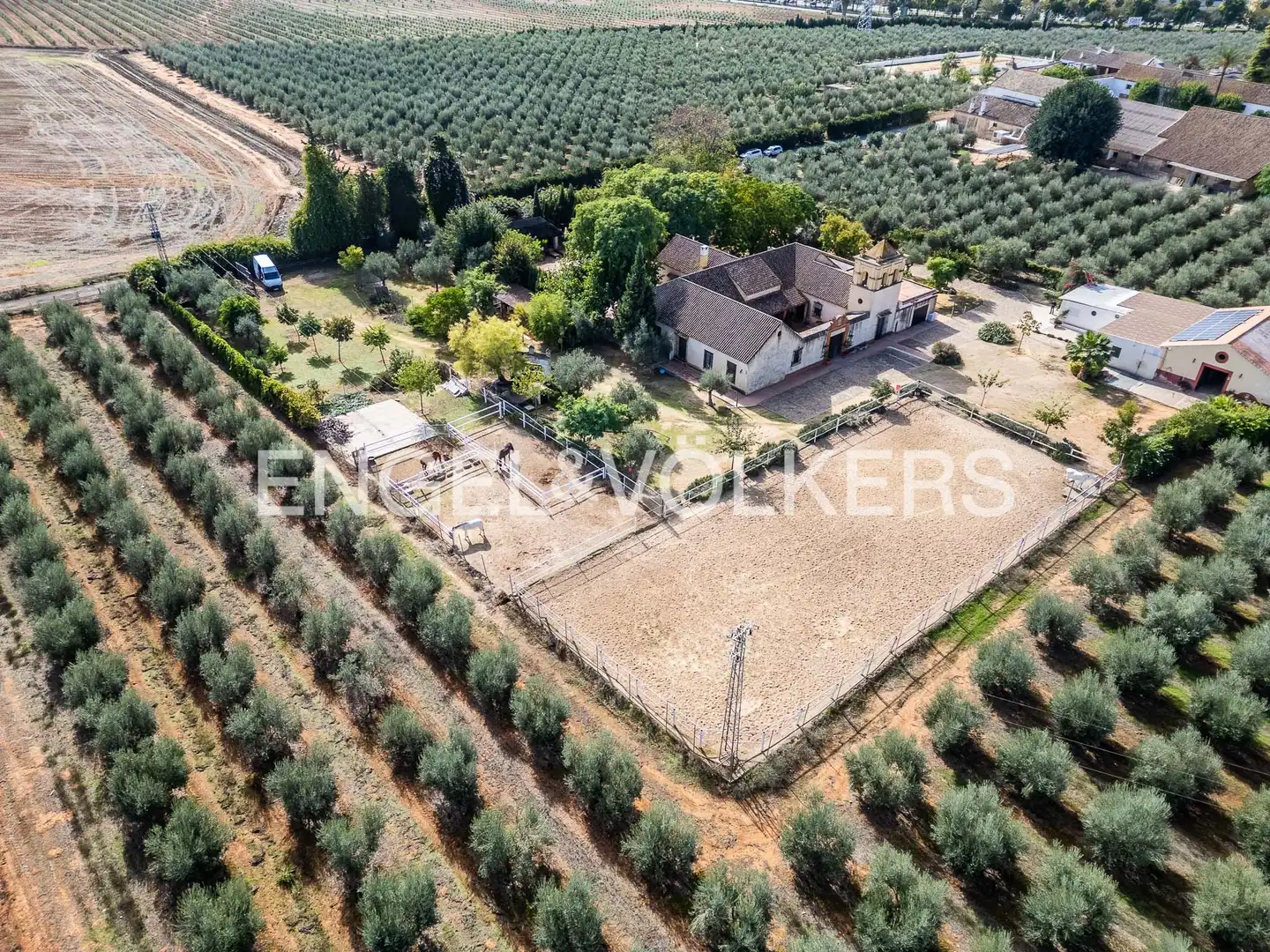 Maison avec jardin à vendre à Bollullos de la Mitación, imagen 6