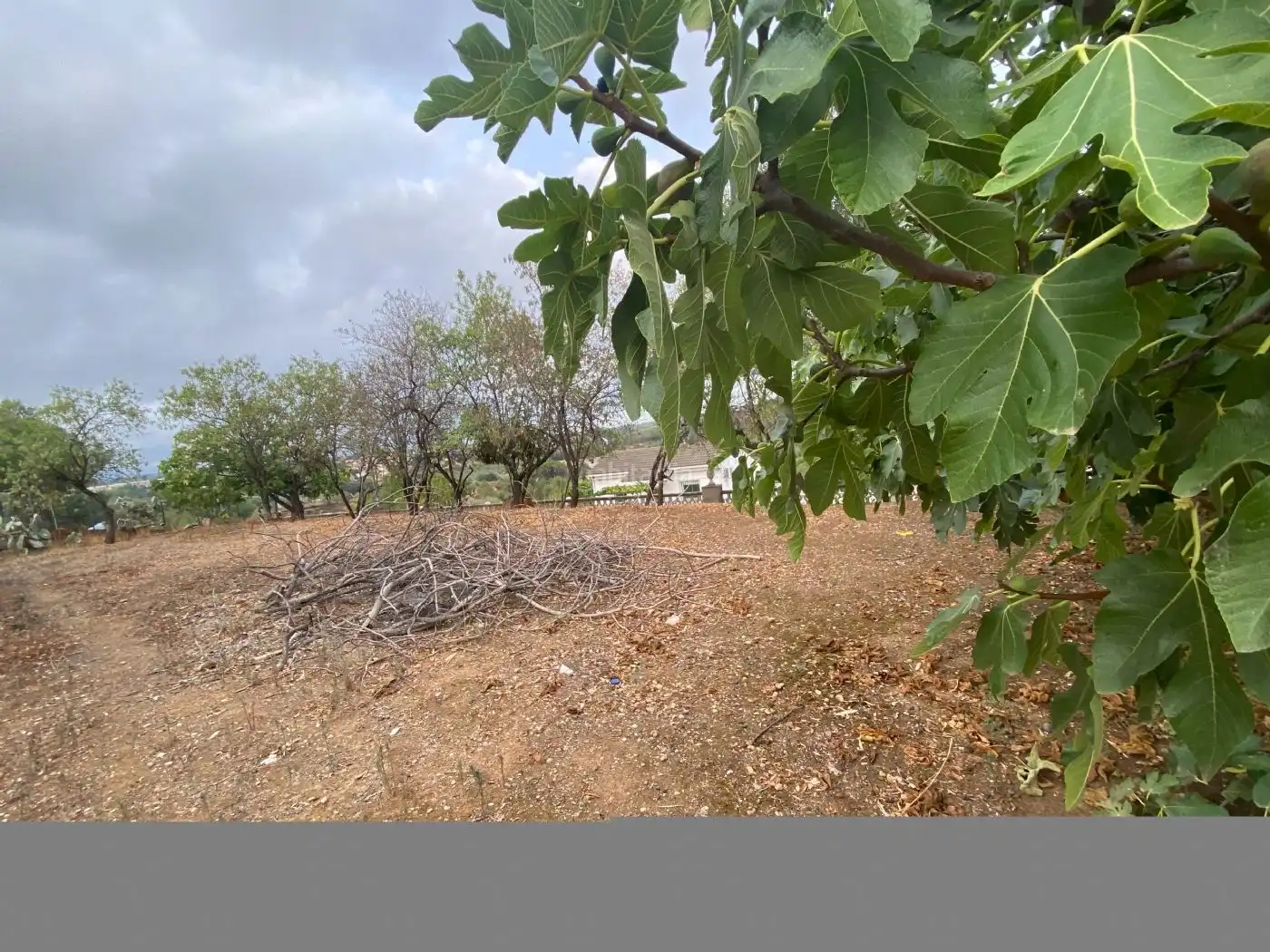 Terreno residencial en venta en Carrer del Tordera 54