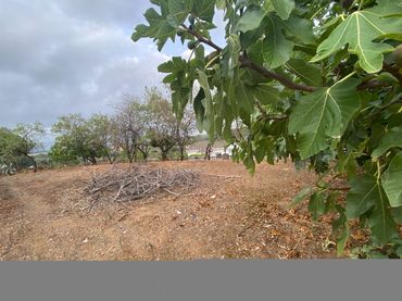 Terreno residenziale in vendita a Carrer del Tordera 54