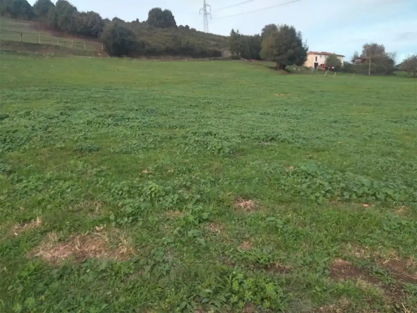 Casa o chalet en venta en Llanera